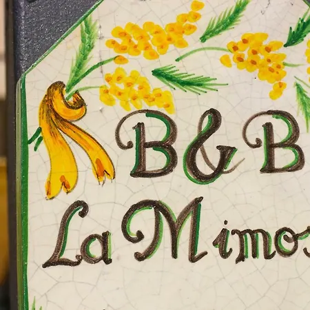 La Mimosa *